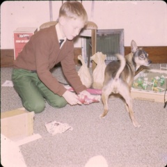 scan0078