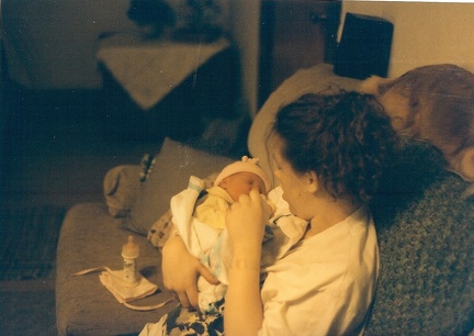 Picture0046