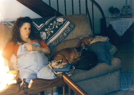 Picture0049