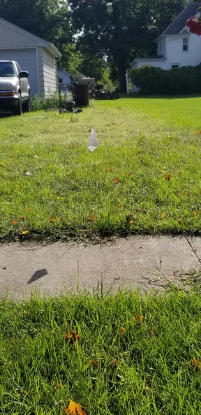 20180829_091929.jpg