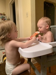 IMG 2538