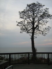 picture 052