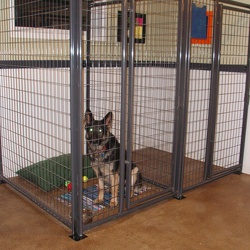 Camp Dogg