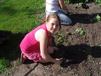 Planting2007