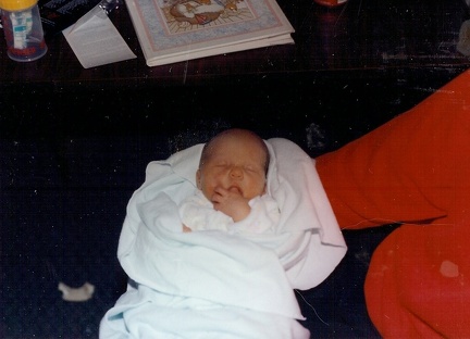 Picture0030