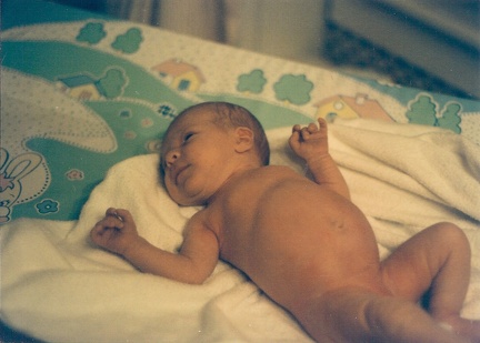 Picture0041