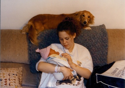 Picture0048