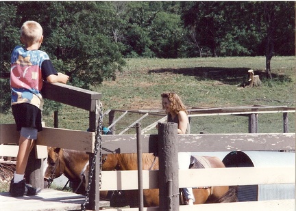 Picture0020