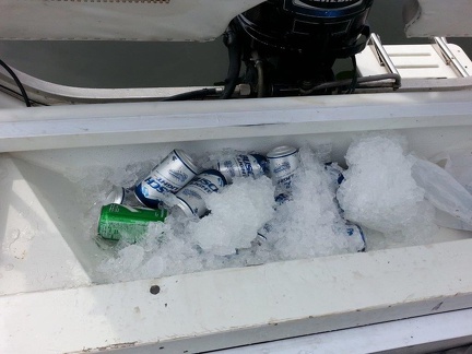 Built In Stearn Cooler