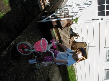 PIC00010