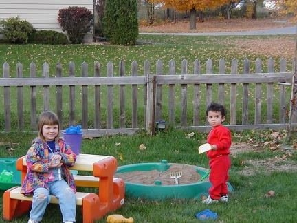 PIC00008