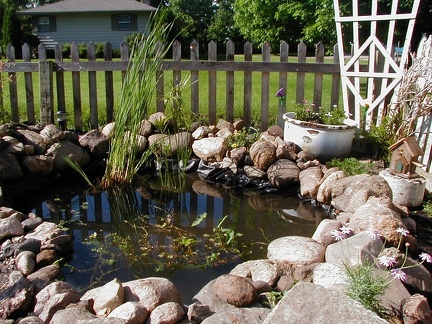 PIC00018
