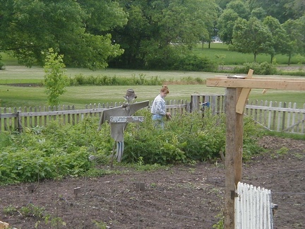 PIC00021