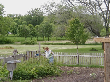 PIC00023