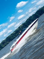 Good Ol Sunbird! 