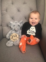 6 months old
