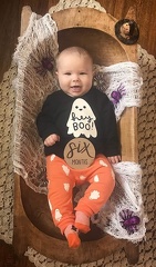 6 months old