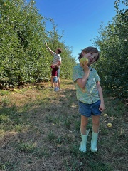 FB IMG 1755995469206