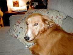 Molly